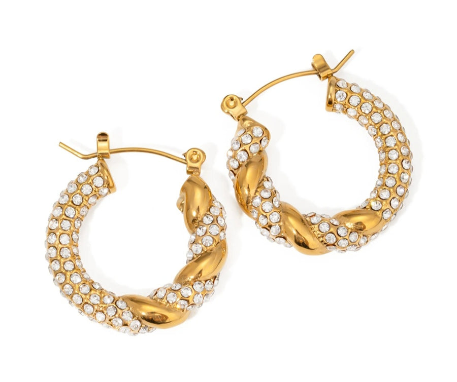 Twisted Glam Earrings